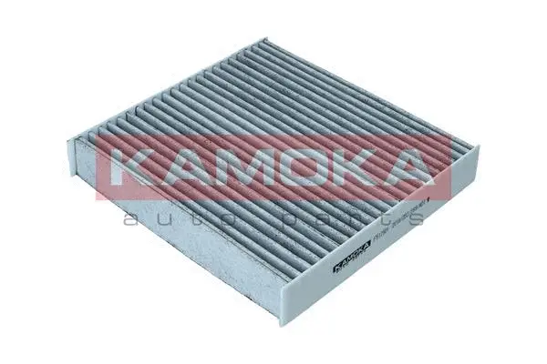 Salono filtras KAMOKA F512501
