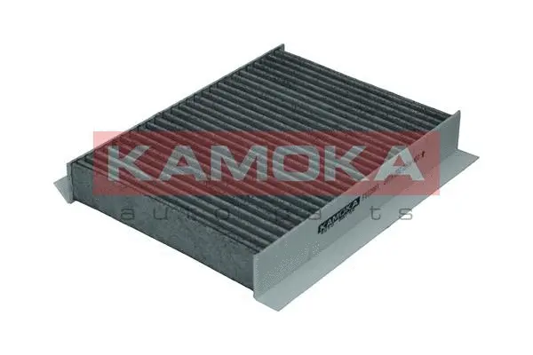 Salono filtras KAMOKA F512801