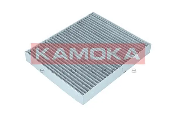 Salono filtras KAMOKA F513001