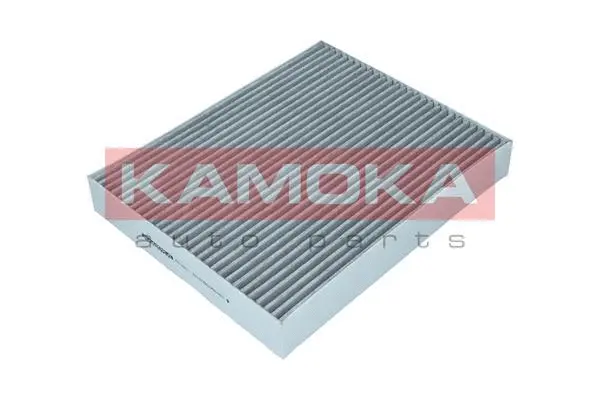 Salono filtras KAMOKA F513201