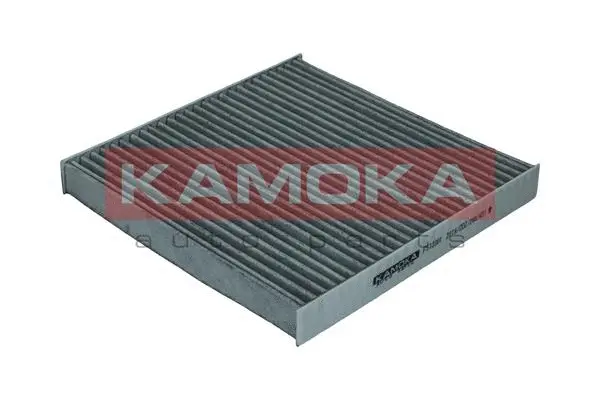 Salono filtras KAMOKA F513301