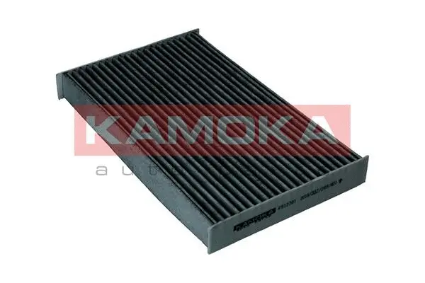 Salono filtras KAMOKA F513701