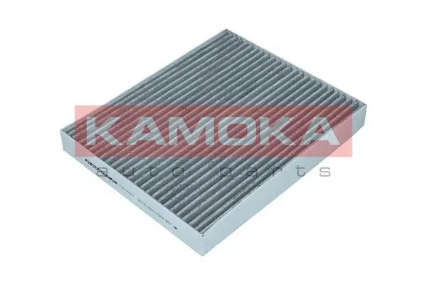 Salono filtras KAMOKA F514001