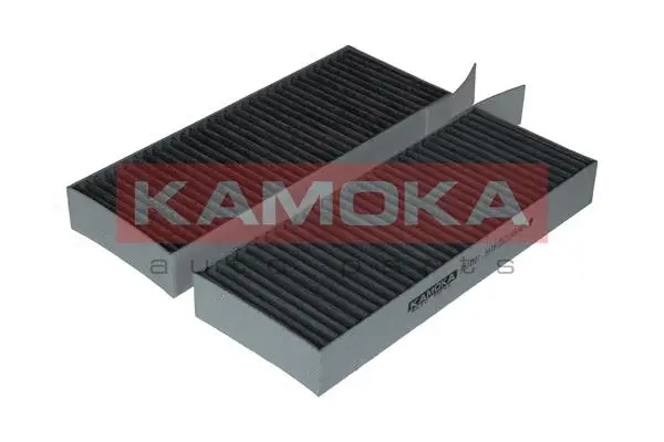 Salono filtras KAMOKA F514101