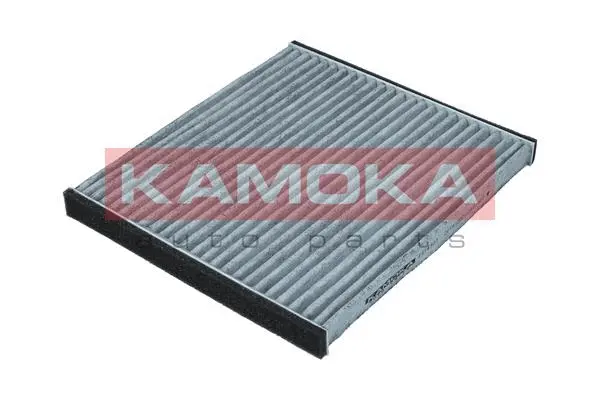 Salono filtras KAMOKA F514301