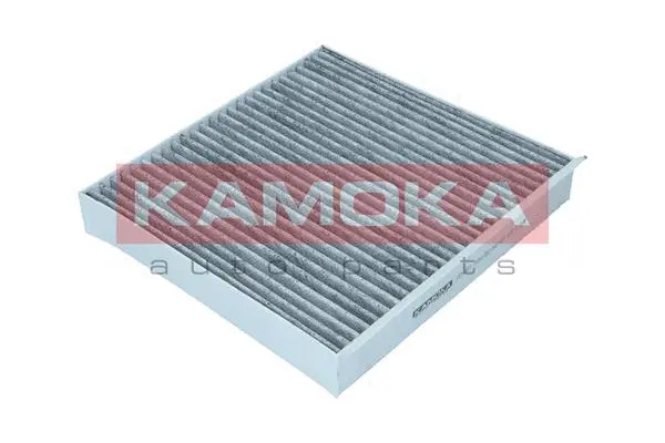 Salono filtras KAMOKA F514501