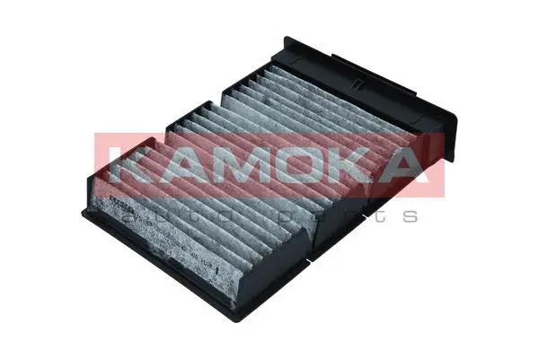 Salono filtras KAMOKA F515201