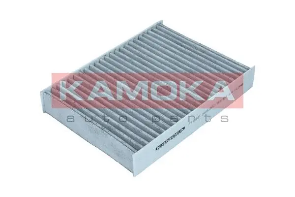 Salono filtras KAMOKA F515301