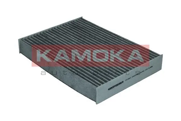 Salono filtras KAMOKA F515601