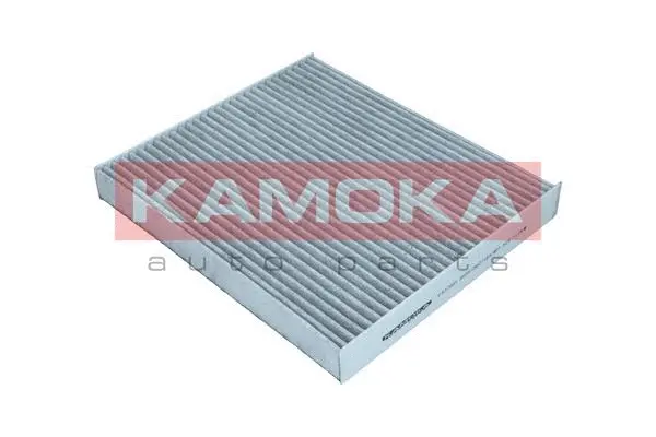 Salono filtras KAMOKA F517001
