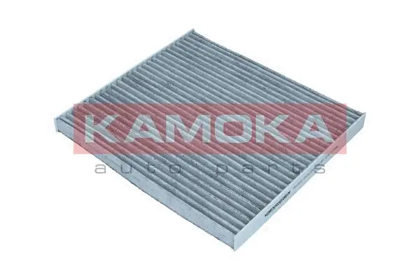Salono filtras KAMOKA F517201