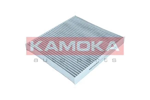 Salono filtras KAMOKA F517301