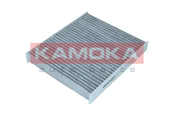 Salono filtras KAMOKA F517501