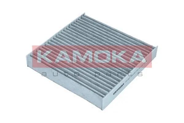 Salono filtras KAMOKA F517601
