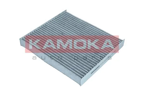 Salono filtras KAMOKA F517701