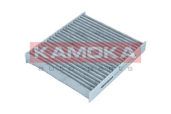 Salono filtras KAMOKA F517801