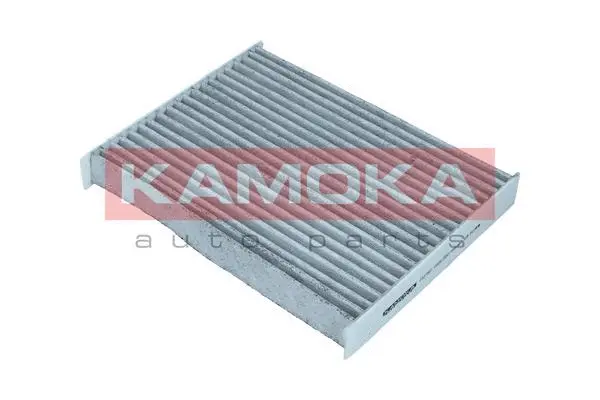 Salono filtras KAMOKA F517901