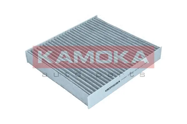 Salono filtras KAMOKA F518501
