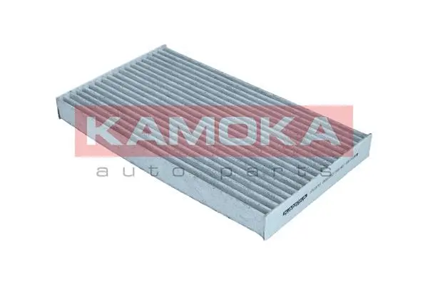 Salono filtras KAMOKA F518701
