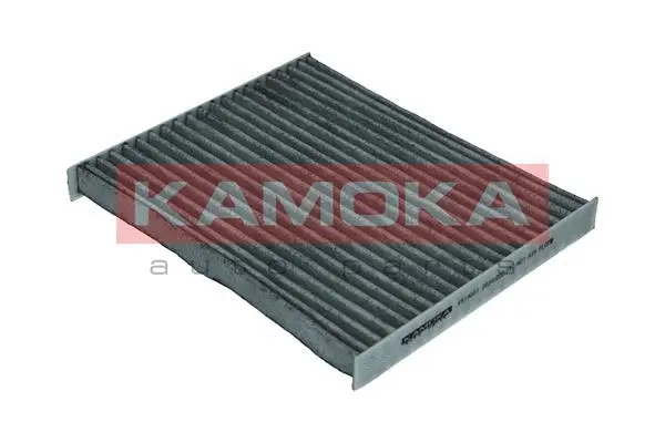Salono filtras KAMOKA F519001