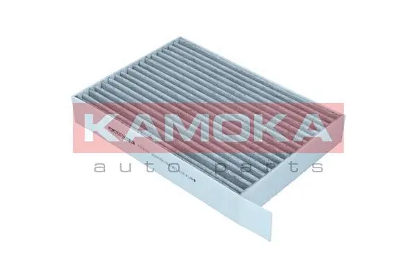Salono filtras KAMOKA F519301