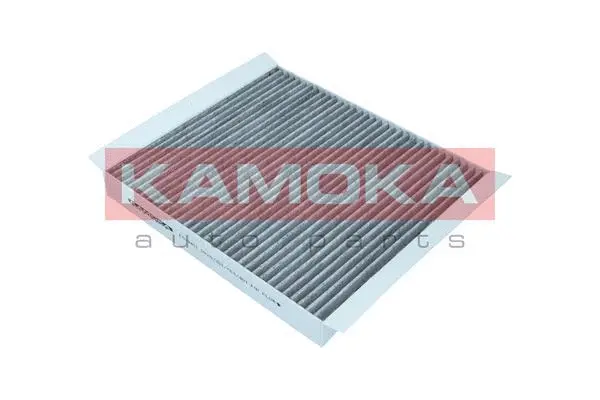 Salono filtras KAMOKA F519401