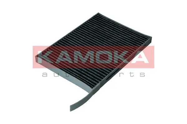 Salono filtras KAMOKA F519601
