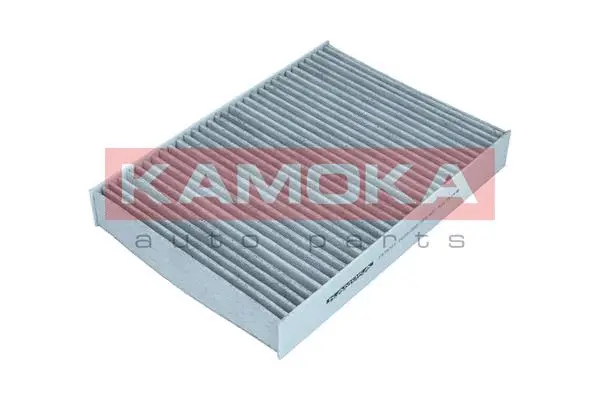 Salono filtras KAMOKA F519701