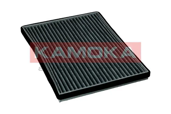 Salono filtras KAMOKA F519901