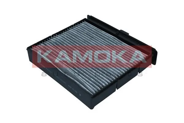 Salono filtras KAMOKA F520201