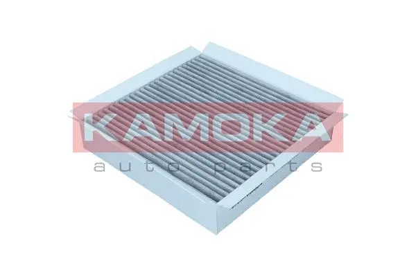 Salono filtras KAMOKA F520301