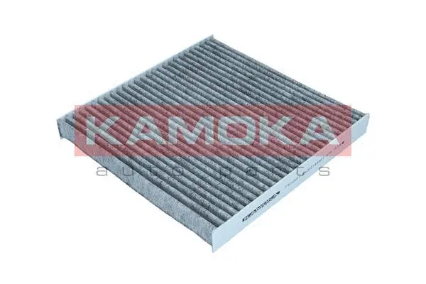 Salono filtras KAMOKA F520501