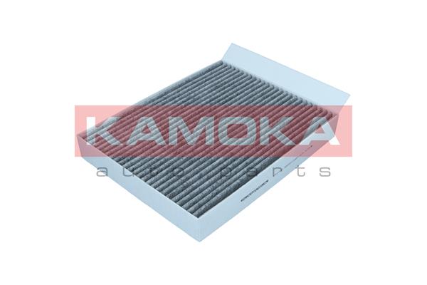 Salono filtras KAMOKA F521801