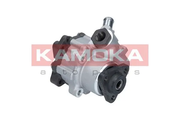 Vairo sistemos hidraulinis siurblys KAMOKA PP010