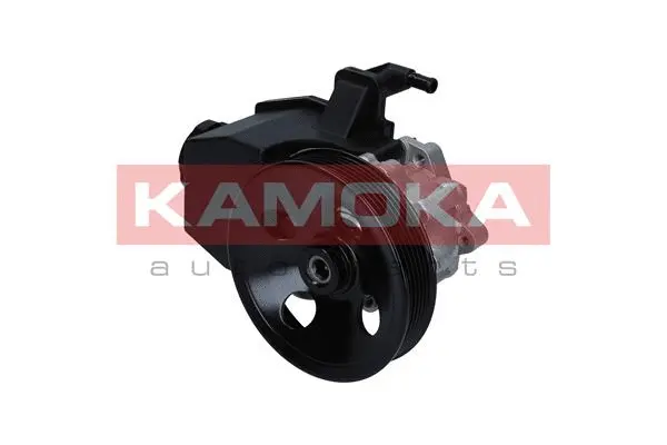 Vairo sistemos hidraulinis siurblys KAMOKA PP128