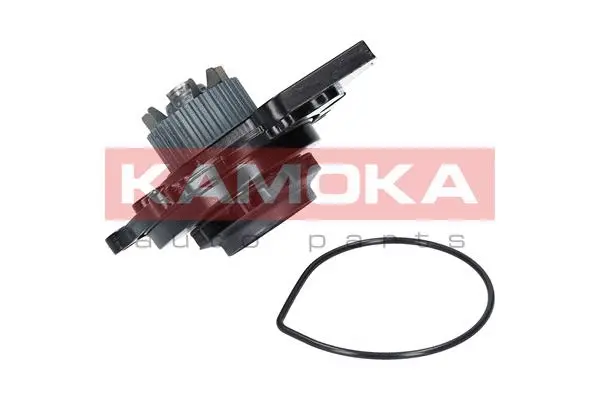 Variklio aušinimo Vandens siurblys KAMOKA T0031