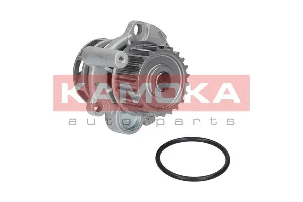 Variklio aušinimo Vandens siurblys KAMOKA T0033