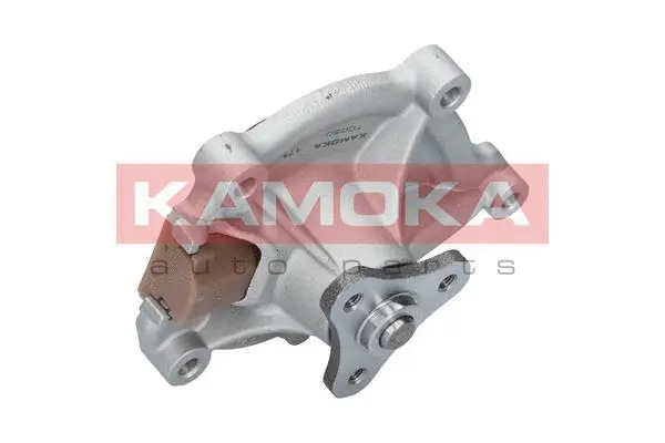 Variklio aušinimo Vandens siurblys KAMOKA T0050