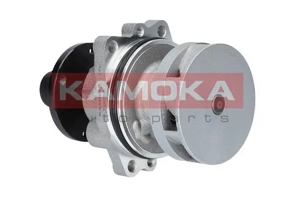 Variklio aušinimo Vandens siurblys KAMOKA T0058