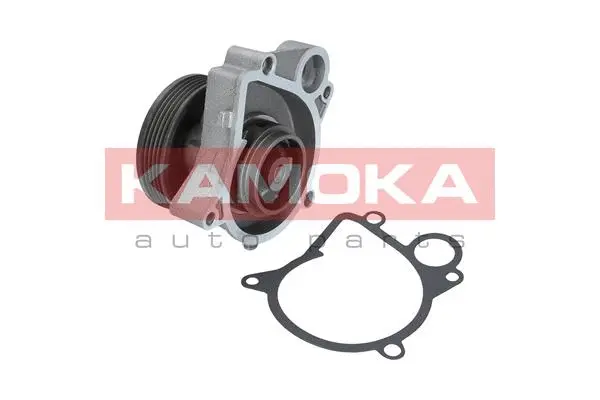 Variklio aušinimo Vandens siurblys KAMOKA T0061