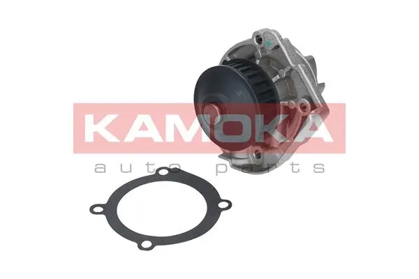 Variklio aušinimo Vandens siurblys KAMOKA T0118