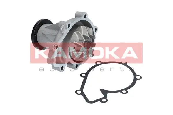 Variklio aušinimo Vandens siurblys KAMOKA T0184