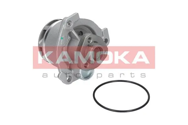 Variklio aušinimo Vandens siurblys KAMOKA T0234