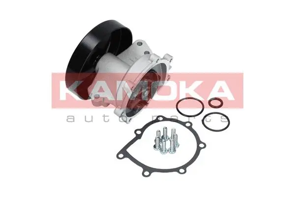 Variklio aušinimo Vandens siurblys KAMOKA T0247