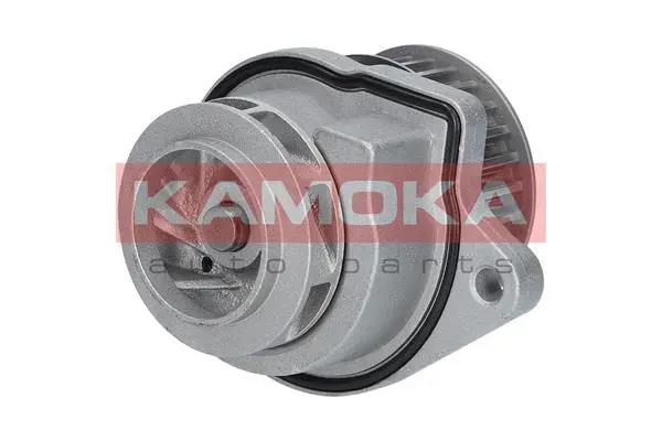 Variklio aušinimo Vandens siurblys KAMOKA T0248