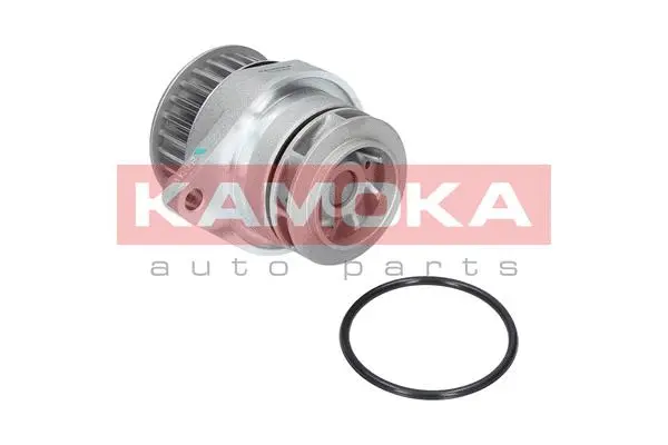 Variklio aušinimo Vandens siurblys KAMOKA T0249