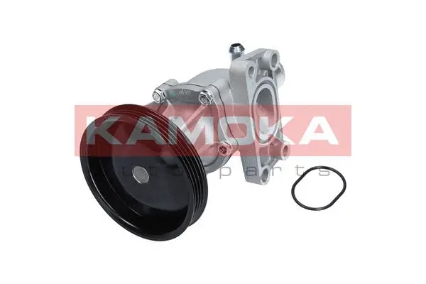 Variklio aušinimo Vandens siurblys KAMOKA T0276