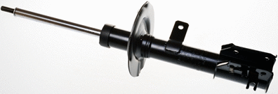 Amortizatorius DENCKERMANN DSB030G