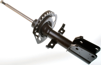 Amortizatorius DENCKERMANN DSB168G