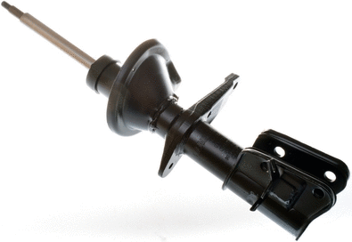 Amortizatorius DENCKERMANN DSB173G